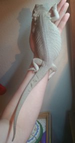 2018-01-21 20.38.56.jpg