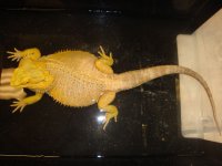 DSC07518.jpg
