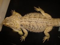 DSC07507.jpg