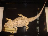 DSC07506.jpg