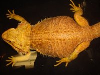 DSC07509.jpg