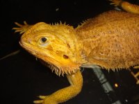 DSC07510.jpg