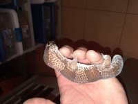 20180522_223507.jpg