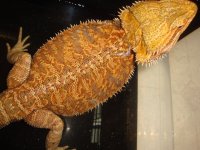 DSC07517.jpg