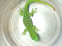 20180405_204530.jpg