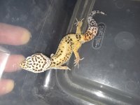 20180522_223355.jpg