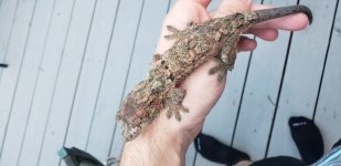 20180531_203655.jpg
