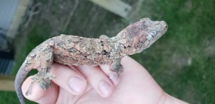 20180531_203729.jpg