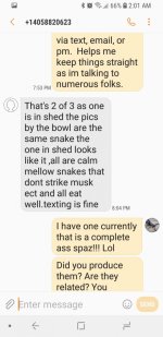 b3.jpg