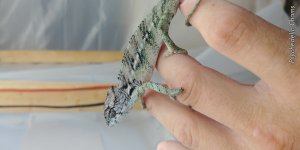 20171118_134014.jpg