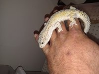 20180522_225952.jpg