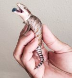 20180720_170935.jpg