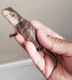 20180720_170914.jpg