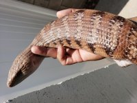 20180727_121831.jpg