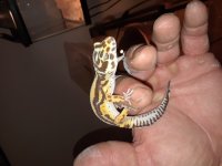 20180522_231052.jpg