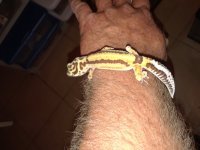 20180522_230937.jpg