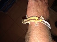 20180522_230943.jpg