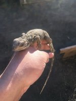 IMG_3620.jpg