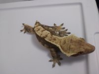20180323_124630.jpg