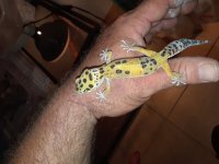 20180522_231138.jpg