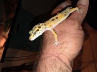 20180522_231133.jpg