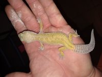 20180522_232401.jpg