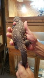 thumbnail_20171118_095836[1].jpg