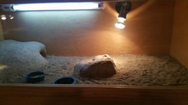 thumbnail_20171118_092705[1].jpg
