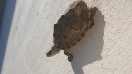 20180507_084959.jpg