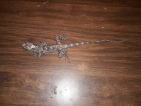 20171118_185237.jpg