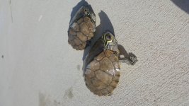20180507_085042.jpg