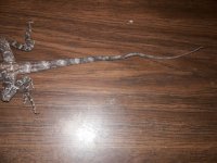 20171118_185243.jpg