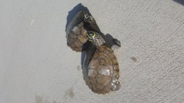 20180507_085047.jpg