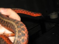 IMG_5660.JPG