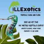 see us at NY METRO REPTILE EXPOWhite plains New york.jpg