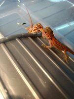 IMG_20170714_164022363.jpg