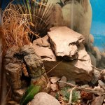 IMG_20171118_222243_177.jpg