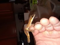 20180209_144019.jpg