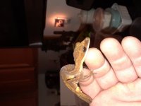 20180209_144014.jpg