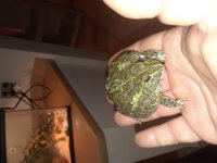 20180708_150434.jpg