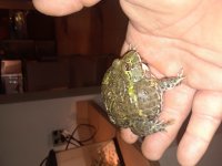 20180708_150429.jpg