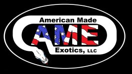 AME logo FINAL finished copy.jpg