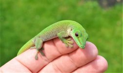DSC_0611.jpg