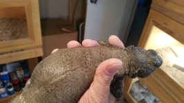 thumbnail_20171118_092910[1].jpg