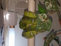 20180419_175338.jpg