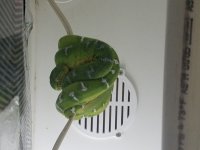 20180418_084447.jpg