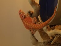 20171203_221916.jpg