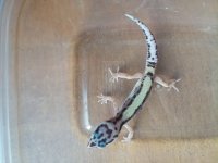 20171130_082923.jpg