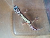 20171130_083010.jpg
