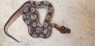20180603_162636.jpg